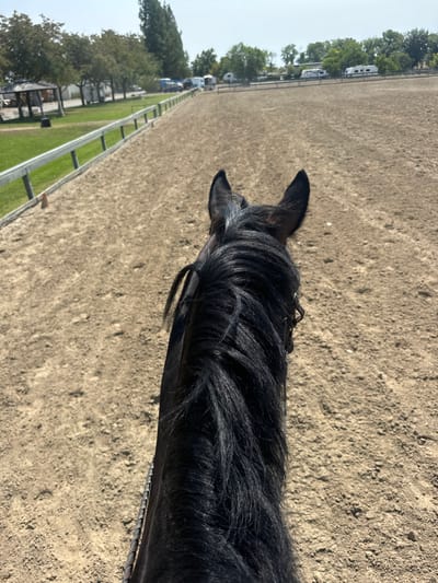 A first-person, over-the-shoulder perspective from a rider depicts the head, neck, and ears of a dark-colored horse with a flowing black mane, facing forward within an outdoor equestrian arena. The ground surface consists of light brown, compacted dirt. To the left, a white multi-rail fence delineates the arena from a strip of green grass and a line of deciduous and coniferous trees. An orange traffic cone is visible near the fence line on the dirt. In the background, beyond the trees, multiple recreational vehicles (RVs) and trailers are parked. The sky above is clear and bright. The scene is located in Rancho Murieta, United States.