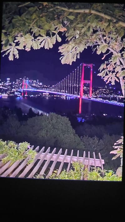 The image is a nighttime photograph featuring the Bosphorus Bridge in Istanbul, Turkey, viewed from a slightly elevated position. In the foreground, a wooden trellis structure is visible, covered with lush green foliage. Beyond the trellis, the Bosphorus strait is dark, reflecting the lights of the city. The iconic Bosphorus Bridge spans the strait, illuminated with vertical red lights on its main towers and horizontal blue and white lights along its length. The cityscape on both sides of the strait is dotted with numerous lights, indicating a densely populated urban area. Overhead, tree branches with large leaves frame the top of the image, adding a natural element to the urban landscape. The overall scene captures the vibrant nighttime atmosphere of Istanbul, with the illuminated bridge serving as a central focal point.