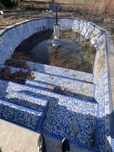 The scene depicts a neglected outdoor swimming pool located in Panichkovo, Bulgaria, viewed from a slightly elevated position. The pool features an irregular, multi-faceted shape with internal steps in the foreground, all lined with blue and white mosaic tiles. The water level is low, filled with murky, greenish-brown liquid extensively covered with fallen brown leaves and other organic debris. A cylindrical concrete pillar, also tiled at its base, stands centrally in the deeper section of the pool, partially submerged in the stagnant water. Numerous brown leaves are scattered on the mosaic steps and accumulated along the pool's inner edges. Several skimmer openings are visible along the top perimeter, and sections of the wall exhibit missing or damaged tiles.

The pool is surrounded by a light-colored, textured tiled patio, on which the feet of an observer wearing black athletic shoes with white accents are visible in the immediate foreground. Beyond the pool, the ground is dry, covered in sparse vegetation and more fallen leaves, leading to a rusty metal fence that defines the property boundary. A white plastic chair and some unidentified debris are visible near the fence in the background. Strong sunlight casts distinct shadows across the pool's steps and from the central pillar onto the water, indicating daytime conditions. No other individuals or active human presence are depicted.