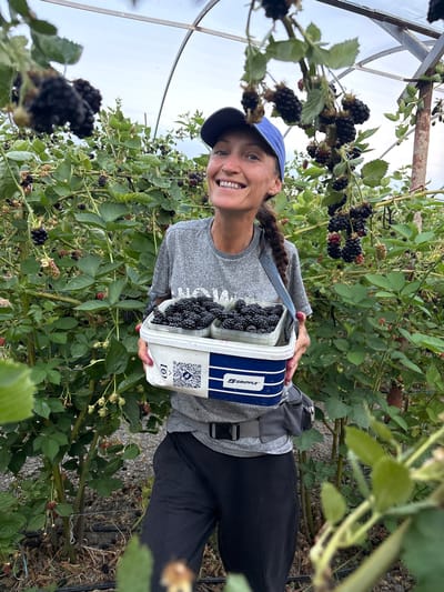 In a blackberry field, a woman with a blue cap and a grey shirt smiles at the camera while holding a white and blue plastic container filled with blackberries. She has a braid that extends down her back. The container has the word "GRIPPLE" printed on it and a QR code. The scene is set among dense green foliage and blackberry bushes laden with ripe fruit. The weather appears overcast, suggesting it might be a cloudy day. The setting is likely a farm or agricultural area, possibly a greenhouse, given the presence of some structural elements visible in the background. The woman's joyful expression and the abundance of ripe blackberries suggest she is actively engaged in harvesting the fruit. The overall mood is one of contentment and outdoor activity. The location is identified as Zaprudnoe, Ukraine.