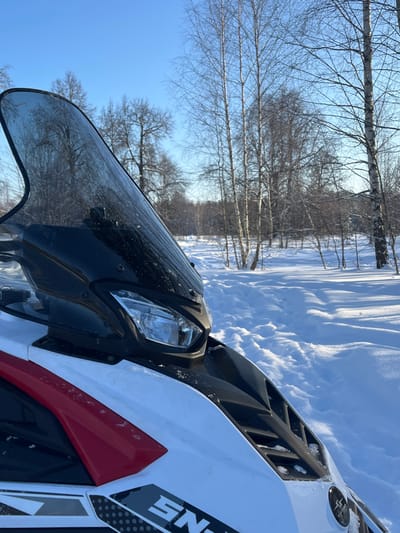 This image depicts a snowmobile positioned in a snowy, outdoor environment in Gruzinskii, Russia. The front portion of a white snowmobile, featuring red and black accents, dominates the left and center foreground. Its clear windshield shows some crystalline deposits, and a prominent headlight assembly with a clear lens is visible below the dark upper cowling and grille. A partial graphic reading "SN" is present on the lower left side. The background consists of a snow-covered landscape under a clear, bright blue sky. Numerous leafless deciduous trees, characteristic of a winter forest, are scattered throughout the midground and distant background, casting long, distinct shadows across the pristine snow. A winding path or track is visible in the snow, extending from the midground towards the distant tree line. No individuals or active subjects are present in the scene.