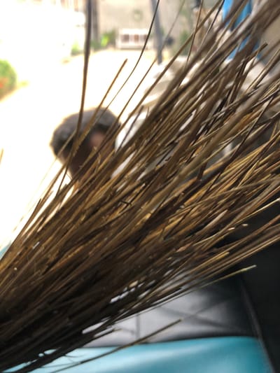 A close-up shot of a broom with brown, dried stalks, seemingly indoors. In the background, there's a blurry glimpse of a building exterior with a window, suggesting an urban or suburban setting. The presence of blue and black colors indicates nearby objects possibly part of a room interior.