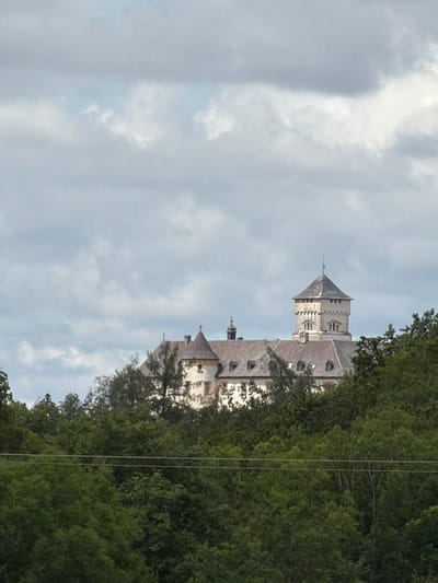 The image shows a castle partially obscured by trees, with a cloudy sky in the background. The castle features multiple towers and a large central structure with a pitched roof. The trees in the foreground are lush and green, suggesting a temperate climate. The scene appears to be a landscape view of the castle in its natural setting. The castle is identified as Burg Hanstein, located in the city of Heiligenstadt i. OFr., Germany.