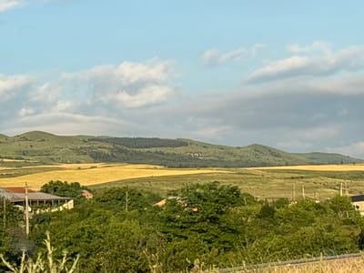The image depicts a rural landscape near Akhalsheni, Georgia. In the foreground, dense green foliage obscures most of the scene, but a portion of a structure with a red roof and a covered porch is visible on the left. Several utility poles are scattered throughout the area. Beyond the trees, rolling hills are visible, with fields of yellow crops in the mid-ground and a darker, forested area on the distant hills. The sky is a pale blue with scattered white and grey clouds. The overall impression is one of a quiet, agrarian setting under a partly cloudy sky.