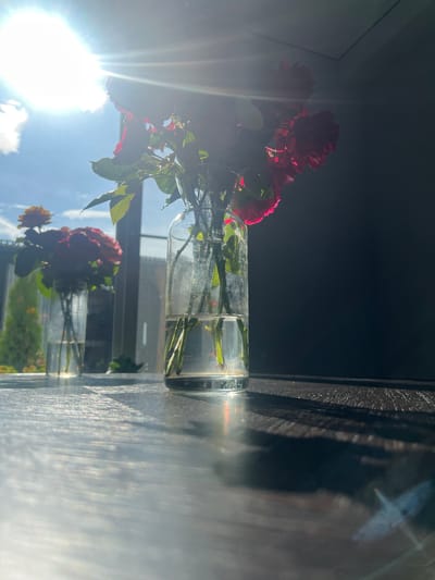A close-up shot captures a glass jar containing a few rose stems with thorns and leaves submerged in water. The jar itself is partially filled, with the water reflecting light. In the background, another glass jar with a bouquet of reddish-orange roses is visible, also positioned indoors, likely near a window. The overall scene is illuminated by bright sunlight streaming in from the right, creating lens flare and casting shadows. The sky appears blue with scattered clouds. The image conveys a sense of natural beauty and a peaceful, indoor setting, possibly a home or studio in Minzag, Russia. The strong sunlight suggests it is daytime, and the bright conditions imply fair weather. There is no visible text in the image.