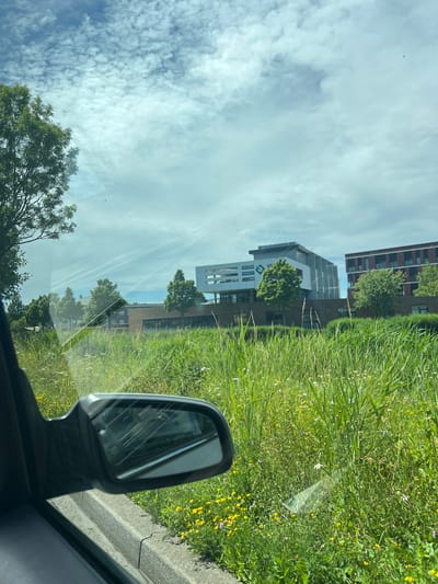 The image, taken from inside a vehicle, shows a view through the windshield and side mirror. In the foreground, a car's side mirror is visible on the left, reflecting the sky and clouds. Beyond the mirror, a concrete curb runs along the edge of a road. A field of tall green grass interspersed with yellow and white wildflowers stretches across the middle ground.

In the background, several modern buildings are visible. The building on the left is light-colored with dark horizontal accents and features a green logo that appears to be "VI". The building to its right is dark brown with large windows. Further to the right is a red brick building with numerous windows. Trees are scattered throughout the landscape, some in front of the buildings and others to the left of the frame. The sky is partially cloudy with streaks of contrails from aircraft.

The scene is consistent with a location in the city of Heerhugowaard, Netherlands, possibly an office park or commercial area adjacent to a natural or semi-natural green space. No people or animals are discernible. The overall impression is one of a bright, daytime scene with a mix of urban development and natural elements.