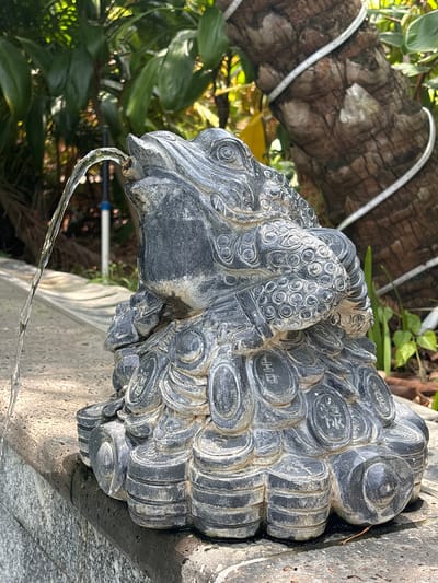 In Yingzhou, China, a stone statue of a toad, intricately carved and weathered, functions as a fountain. Water streams from its open mouth, arching over its head. The toad rests on a base designed to resemble stacked coins, each bearing carved characters. The statue is positioned on a stone ledge bordering a paved area. In the background, lush green foliage from trees and plants creates a vibrant, natural setting, with a thick tree trunk wrapped in a string of small lights visible to the right. The overall scene captures a blend of sculpted art and natural beauty.