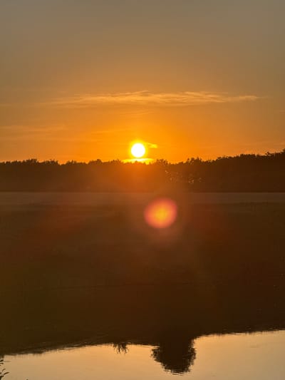 This media file depicts a sunset over a body of water, likely a river or lake, in Pylypcha, Ukraine. The sun, a bright orb of light, is setting on the left side of the frame, casting a warm, golden glow across the sky. Wisps of clouds are visible, catching the light and adding texture to the scene.
A dark silhouette of trees forms a distinct line between the sky and the water, suggesting a wooded shoreline. The water itself is calm and reflective, mirroring the colors of the sunset and the dark outline of the trees. The overall impression is one of tranquility and natural beauty.
The time of day is clearly sunset, indicated by the low angle of the sun and the warm, orange hues in the sky. The weather appears clear, with the exception of the scattered clouds. No people or specific objects are discernible in the image, focusing solely on the landscape. The scene evokes a sense of peace and the end of a day. There is no visible text in the media file.