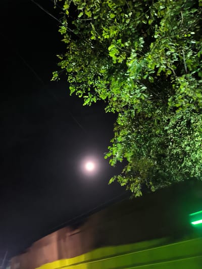 This media file presents an outdoor night scene in Blangpanjoe, Indonesia, likely captured from a moving perspective. The upper and right portions of the image are dominated by a lush tree with vibrant green leaves, brightly illuminated against the dark night sky. In the upper-middle left, a prominent, circular, and intensely bright white light source, resembling a full moon or a powerful artificial light, emits a soft glow.
Thin, dark utility wires are visible stretching across the upper left quadrant of the dark sky. Below these wires, a blurred, muted brown or orange-toned building or wall structure occupies the lower-left section of the frame. The very bottom of the image features significant motion blur, with a striking, bright green streak dominating the lower right, possibly from a light source, reflection, or part of a moving object, contrasting with the blurred brown structure to its left. No people or visible text are present in the image. The scene captures a dynamic nighttime ambiance, highlighting the illuminated foliage and the central light source against the dark surroundings, suggesting it was taken from a vehicle or while the camera was in motion.