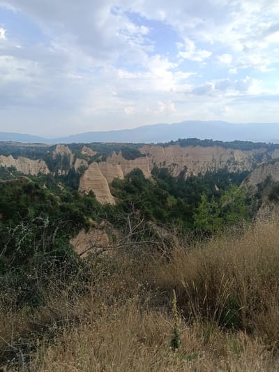 This is a landscape photograph of a valley with unusual geological formations. The scene depicts a canyon with towering, eroded sand and clay formations, resembling pyramids or spires. These formations are a pale tan color and exhibit distinct horizontal layering, indicating sedimentary rock. Lush green vegetation, consisting of trees and shrubs, covers the slopes and floors of the ravines, creating a striking contrast with the lighter rock. In the foreground, dry, golden grass and thorny branches obscure the view, suggesting a natural, untamed environment. In the distance, a range of hazy blue mountains forms the horizon, under a sky filled with scattered white and grey clouds. The lighting suggests it is daytime, possibly late afternoon or early morning, given the soft light and the atmospheric haze. The overall impression is one of natural beauty and geological wonder. The location is identified as Melnik, Bulgaria, known for its unique sandstone pyramids. There is no text visible in the image.
