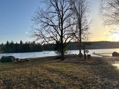 The scene depicts an outdoor recreation area in the city of Fjällnora, Sweden, under a clear, late afternoon sky with low sun exposure on the right horizon. The foreground consists of dry, sparse brown grass and bare earth. To the left, two large, dark grey boulders sit near a wooden picnic table with attached benches. Centrally, a wooden signpost with multiple blank directional signs is present, alongside a blue rectangular waste bin and a cylindrical brown bin. A dirt path leads toward the water on the right. The midground is dominated by a large body of water, predominantly covered in white ice. A wooden dock extends into this ice-covered surface from the right shore. At the end of the dock, a single individual in dark clothing is seated. In the left-central portion of the frozen water, a small, light-colored floating platform is visible. The background features a dense treeline, comprising both deciduous and coniferous species, marking the opposite shore. Several tall, bare deciduous trees with complex branch structures are prominent in the midground, partially obscuring the distant treeline. The sky transitions from light blue to a golden hue on the right.