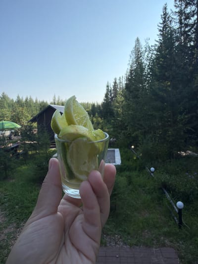 A close-up shot shows a person's hand holding a small glass filled with lime wedges. The glass is partially obscured by the hand, but the vibrant green of the lime slices is visible. In the background, a rustic wooden cabin with a dark roof sits amidst a dense forest of evergreen trees. A green umbrella is visible to the left of the cabin, with a vehicle partially under it. The sky is a clear, bright blue. The overall scene suggests an outdoor setting, possibly in a rural area or a campsite in Kuliki, Russia, given the prevalent coniferous forest.