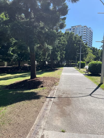 This image depicts a sunlit park scene, viewed as if looking down a long, paved pathway. The path, made of light grey aggregate, extends from the foreground into the distance. It is bordered on both sides by grassy areas, with sections closest to the path covered in dark bark mulch. A storm drain with a metal grate runs along the right edge of the path in the foreground.
Numerous tall evergreen or coniferous trees line both sides of the pathway, casting long, distinct shadows across the path and the grassy areas, indicating a clear, sunny day, likely morning or late afternoon. In the background, beyond the trees on the left, a tall, modern multi-story building with numerous balconies is visible against a clear blue sky. Several lamp posts or light poles are spaced along the path. A wooden park bench can be seen further down the path on the right side, nestled among the trees.
No people are visible in the scene, suggesting a quiet moment. The overall atmosphere is peaceful and serene, showcasing an urban green space under bright, natural light. There is no visible text in the image. The setting suggests a park or walking track in a residential or mixed-use area, consistent with the Kelvin Grove, Australia context.