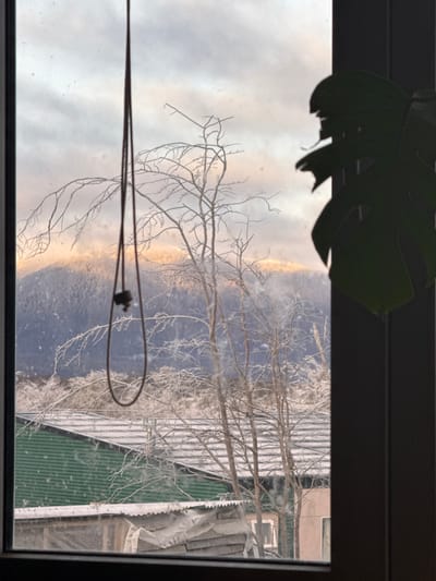 The image captures a view from a window overlooking a snowy landscape in Tolhuin, Argentina. In the foreground, a dark silhouette of a plant leaf is visible on the right side, and a dark cord hangs vertically from the top center. Beyond the window, bare tree branches, coated in frost, are scattered across the scene. In the mid-ground, structures with green corrugated metal roofs and other buildings with corrugated tin roofs are visible, also dusted with snow. Further in the background, snow-covered hills or mountains rise, with the peaks illuminated by warm, golden light, suggesting either sunrise or sunset. The sky is overcast with soft, diffused light. The overall impression is of a cold, wintery day in a rural or semi-rural area.