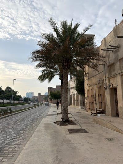 The image depicts a street scene in the Al Fahidi Historical Neighbourhood of Deira, United Arab Emirates. A date palm tree dominates the left foreground, its fronds obscuring the sky and partially framing the historic architecture. The buildings lining the street are constructed with traditional materials and feature visible air conditioning units and windows.
The street pavement is constructed from light gray bricks. A single person is walking away from the viewer in the distance. Further down the street, vehicles are driving, and modern skyscrapers are visible in the background. The sky is partly cloudy.