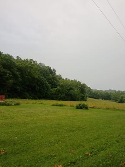 The image shows a vast, green, and gently sloping field of grass under a hazy, overcast sky. To the left of the field, a dense forest of various green trees creates a dark, shadowy contrast. The trees appear to be on a hillside, with a more distant, perhaps even more expansive, forest in the background. The grass in the foreground is a vibrant green, with scattered patches of lighter green and some fallen leaves or debris. There is a small, dark green bush in the middle ground of the field. The overall scene suggests an outdoor, natural setting, possibly a rural landscape or park. The light is diffused, indicating it could be late morning or afternoon on a cloudy day. There is no discernible activity or people in the image. The image is oriented sideways. A red rectangular object is partially visible in the bottom right corner of the image.