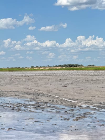 A wide shot captures a dry, cracked lakebed with shallow, reflective pools of water in Bursol', Russia. The foreground is dominated by the textured, light-brown earth, interspersed with darker, muddy patches and glistening shallow water. Streaks of white, likely salt deposits, mark the surface. In the mid-ground, the lakebed continues, showing tire tracks or similar indentations. A strip of vibrant green grass and a line of sparse, dark green trees form the horizon. Above, a bright blue sky is scattered with fluffy white cumulus clouds. The scene is devoid of people or any living creatures.