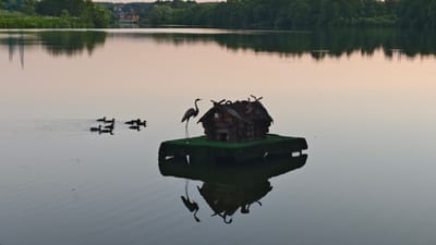 In the city of Shchapovo, Russia, a serene lake reflects the soft hues of dusk. On a small, grassy island in the middle of the water, a miniature, rustic log cabin with a thatched roof stands. Beside the cabin, a tall, slender statue of a heron is posed, its silhouette sharp against the pale sky. A group of ducks swims in formation to the left of the island. The still water mirrors the island, the cabin, the heron, and the distant trees lining the far bank, creating a symmetrical and tranquil scene.