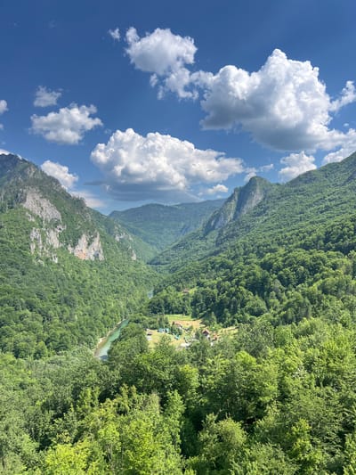 The image displays a scenic view of the Tara River Canyon in Đurđevića Tara, Montenegro. The canyon is characterized by steep, tree-covered mountains on either side, with a turquoise river flowing through the valley below. The vegetation is lush and green, indicative of a temperate climate. The sky is blue with scattered white clouds. In the mid-ground, nestled amongst the trees, are a few small buildings, suggesting a rural settlement. The overall impression is one of natural beauty and tranquility.