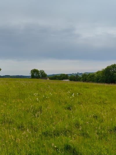 The image captures a verdant meadow under a cloudy sky. The foreground is dominated by tall, lush green grass, dotted with small white wildflowers. In the middle ground, a simple, light-colored building with a dark roof is partially visible behind a cluster of trees. Further in the background, a rolling landscape of green hills and more trees stretches towards the horizon, with a hazy, grey sky overhead. The overall impression is one of a tranquil, rural landscape in the Cotswolds District, United Kingdom.
