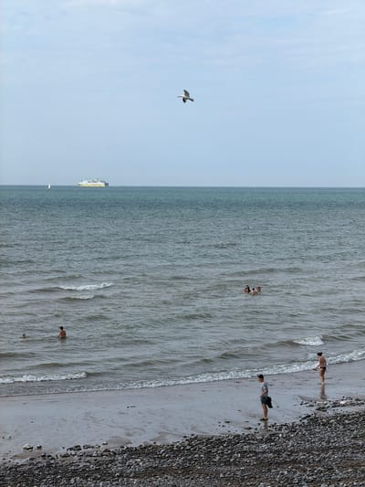 The image depicts a serene beach scene at Hautot-sur-Mer, France. The ocean occupies the majority of the frame, with gentle waves lapping at the shore. The sky is a pale blue, suggesting it's daytime, possibly late morning or afternoon. A single seagull is captured in flight in the upper left quadrant, adding a touch of natural life to the scene.

On the beach, several people are visible. One individual stands near the water's edge, while others are further out in the sea, enjoying the water. The beach itself is a mix of sand and pebbles, with a distinct line of darker stones marking the upper edge of the beach. In the distance, a large ferry, likely a passenger vessel, is visible on the horizon, adding a man-made element to the otherwise natural landscape.

The overall mood of the image is peaceful and relaxed. The soft lighting and calm water suggest a pleasant day at the seaside. There are no obvious signs of any specific event, but rather a snapshot of everyday life at the beach. The location context of Hautot-sur-Mer, France, places the scene within a specific geographical area known for its coastal beauty. No visible text is present in the image.