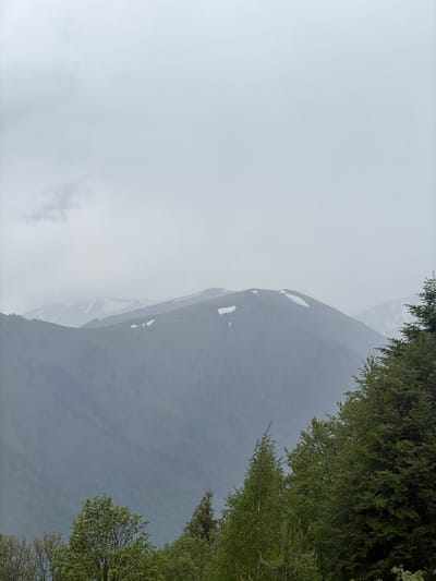 The image shows a mountain landscape, partially obscured by fog. The mountain has patches of snow on its side. Green trees line the upper-right corner of the frame. The sky is overcast. The location is presumed to be near the Rila Monastery in Bulgaria.