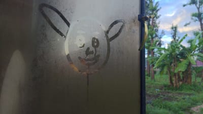 The scene depicts a humid outdoor environment in Longuo 'A', Tanzania, viewed through a fogged transparent panel, likely a window or glass door. The panel's interior surface features a simple drawing wiped into the condensation, illustrating a circular face with two eyes, a nose, a smiling mouth, and two elongated, loop-shaped ears or antennae. Moisture condensation is evident across the panel, with distinct water droplets and a visible drip path originating below the drawing. A brass-toned window latch, comprising a fixed base and a pivoting handle, is mounted on a dark vertical frame to the immediate right of the pane. Beyond the panel, the exterior reveals dense, verdant vegetation under a partly cloudy sky. Prominently visible are multiple banana trees with large, broad leaves and clustering growth, alongside several taller, slender trees. The ground consists of green grass and patches of cultivated soil.