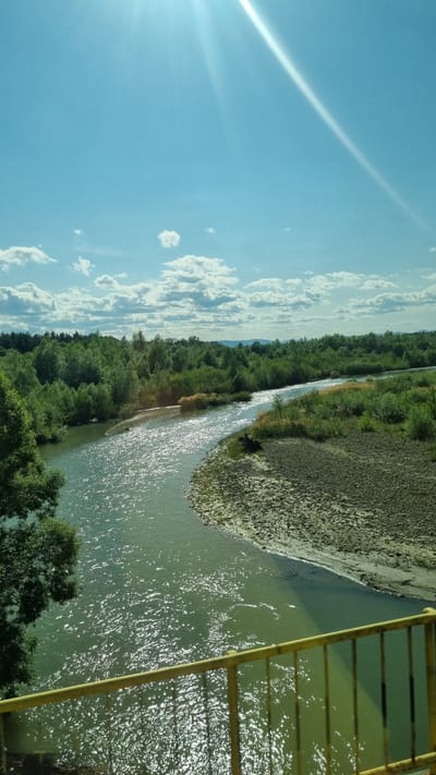 This image depicts a scenic view of a river winding through a lush, green landscape under a bright, partly cloudy sky. The sun is high and shining, casting a strong glare on the water's surface, creating a shimmering effect. The riverbank on the right is characterized by a light-colored, pebbly terrain with sparse vegetation, contrasting with the dense, verdant forest that lines the opposite bank and extends into the background. In the foreground, a yellow railing, likely part of a bridge or overlook, is visible, suggesting a vantage point for viewing the natural scenery. The sky is a vibrant blue with scattered white clouds, and the sun's rays are clearly visible, contributing to the overall bright and sunny atmosphere. The scene is devoid of any people or obvious human activity, focusing solely on the natural environment. This landscape is consistent with the rural setting of Frătăuții Vechi, Romania, known for its natural beauty and proximity to rivers and forests.