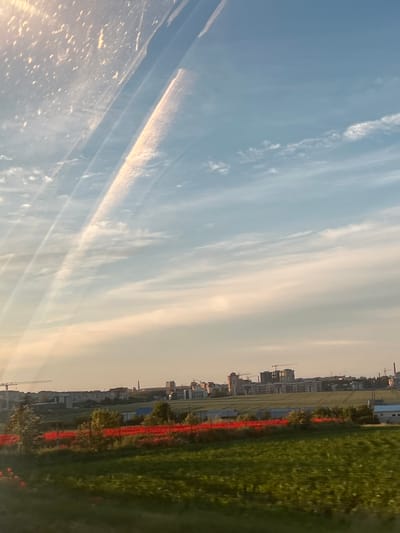 This image, captured in Velyki Hai, Ukraine, presents an outdoor scene depicting an urban periphery during either sunrise or sunset. The upper portion of the frame features a pale blue sky with scattered, wispy clouds. Significant glare and light reflections are visible in the upper-left quadrant, along with multiple faint, linear streaks and a distinct, curved, bright white contrail-like reflection extending diagonally across the sky, indicative of a photograph taken through a window. The horizon exhibits a soft, warm, peach-toned gradient.

In the mid-distance, a modern urban landscape is visible, comprising numerous multi-story buildings, likely residential, with several active construction cranes rising above them, signaling ongoing development. Below this urban skyline, a broad, horizontal field of vibrant red flowers, likely poppies, creates a distinct visual band.

The immediate foreground consists of blurred green agricultural fields, consistent with motion blur from a moving perspective. Scattered trees and bushes are present between the red flower field and the foreground. No individuals or animals are discernible within the frame.