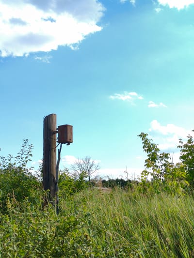 In the city of Pidluky, Ukraine, a weathered wooden pole stands amidst tall green grass and foliage under a bright blue sky with scattered white clouds. A rusted metal box is affixed to the pole, with wires connecting to it and running down the side. The surrounding vegetation is lush and appears to be a natural area, possibly a field or overgrown lot. The scene suggests a remote or undeveloped location, likely outdoors and in a rural or semi-rural setting.