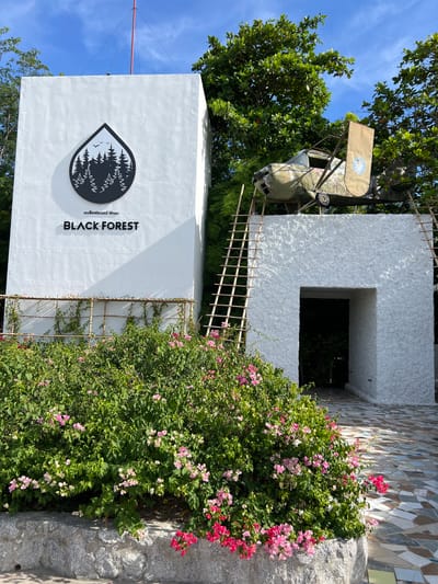 In the city of Ban Noen Sai, Thailand, the scene features a white building with the text "BLACK FOREST" in black capital letters. Above the text is a logo resembling a water droplet with a silhouette of pine trees inside, with two birds flying above. To the right of the building, an old, weathered airplane is propped up on a white structure, accessible by two bamboo ladders. In the foreground, a lush bush with pink and red flowers overflows onto a stone border. The ground is paved with colorful tiles, and the sky above is blue with scattered clouds, framed by green trees.