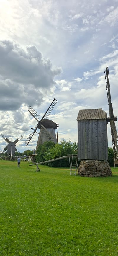 The image depicts the Angla Mill Museum in Angla, Estonia, on a cloudy day. In the foreground, a vast expanse of bright green grass stretches across the scene. A single person, a man wearing a light grey hoodie and dark pants, stands in the middle left of the frame, facing away from the camera. He is looking towards a group of people in the middle ground.
Dominating the mid-ground and background are several wooden windmills, characteristic of the Angla Mill Museum's collection. The most prominent windmill, on the right side of the image, is a dark grey wooden structure with a stone base. Its sails are angled upwards. To the left of this, a larger, grey-bodied windmill with dark wood sails is partially visible. Further in the distance, another windmill with lighter wood sails is visible.
Several people are scattered around the windmills. One person stands on a wooden platform attached to the larger windmill in the mid-ground. Another small group of people, appearing to be tourists, are gathered near the base of this windmill, looking in various directions. The landscape behind the windmills features a line of green trees and shrubs, with a hint of a pale, distant sky peeking through the dense, grey clouds. The overall impression is one of a serene rural landscape with historical structures.