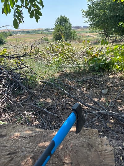 An axe with a blue handle is positioned in the foreground, its head resting on a rough-hewn log. Behind the log, a pile of branches and dried leaves covers the ground, with green foliage visible further back. In the distance, a field stretches out under a clear blue sky, with trees dotting the landscape and a few buildings visible on a distant hill. The scene suggests an outdoor environment, possibly a rural or semi-rural area within the Жібек жолы ауылдық округі of Kazakhstan, where clearing brush or chopping wood is taking place.