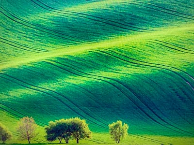 The image depicts a verdant landscape with rolling hills and a bright green field. The field is marked with curved lines, suggesting cultivation patterns or natural contours. Several trees are scattered across the lower portion of the image, with varying densities of foliage. The lighting suggests it is daytime, casting subtle shadows on the hills. The scene is tranquil and natural. There is no indication of the city of Urtaaul, Uzbekistan.