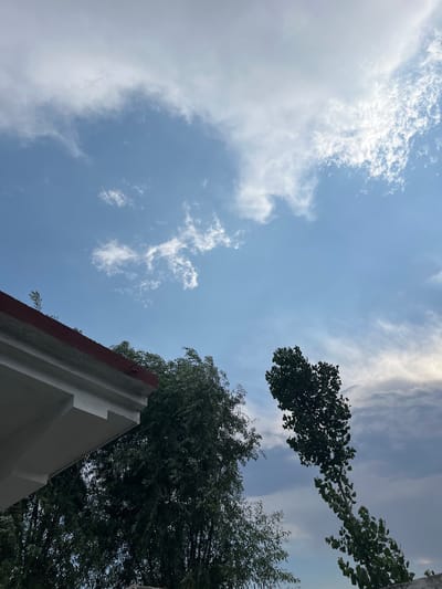 This vertical photograph, captured in Kabal, Pakistan, presents an outdoor scene dominated by a dynamic sky and extensive vegetation. The upper two-thirds of the image display a sky gradient, transitioning from a bright blue with scattered white cumulus and wispy cirrus clouds on the left to a more muted, overcast blue-grey sky with denser cloud formations on the right. No individuals or human activities are present. In the lower-left quadrant, a segment of a building's architecture is visible, specifically a white, multi-layered concrete eave or roof overhang, surmounted by a distinct reddish-brown roof edge from which small green plant growth emerges. Adjacent to and beneath the building's structure, in the lower-left and center, a substantial, dark green tree with dense foliage is prominent, its leaves appearing to be affected by wind. To the right of this, a tall, slender tree characterized by sparser, lighter green foliage originates from the lower-right edge of the frame, leaning sharply towards the upper-center, its distinct form silhouetted against the darker sky. The visible leaf movement across both trees suggests moderate wind conditions.