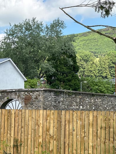 This media file captures a scenic view in Baltinglass, Ireland. The scene is dominated by lush green foliage and a backdrop of a steep, verdant hill under a bright, partly cloudy sky. In the foreground, a section of a newly constructed wooden fence runs vertically along the right side of the image, contrasting with a rough stone wall beside it.
The stone wall appears to be part of a garden feature or pathway, with a circular, black and white patterned element visible at its base. To the left of the wall, the roofline of a modern, light-colored building is partially visible.
Trees, some with bare branches and others full of leaves, frame the view. A larger tree with dense green foliage occupies the lower left portion of the image, its branches extending towards the sky. In the distance, the hillside is densely covered in grass and trees, suggesting a rural or semi-rural setting. The lighting indicates it is daytime, likely mid-morning or afternoon, with clear visibility and no indication of rain. The overall impression is one of natural beauty and recent construction.