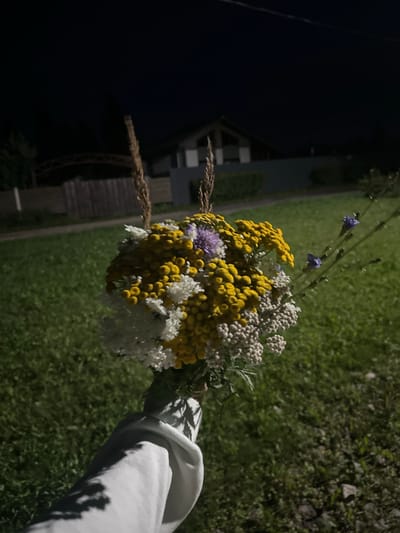 A hand, wearing a white hoodie, holds a bouquet of wildflowers against a blurred background of a grassy field, a wooden fence, and a building at dusk in Kutukovo, Russia. The bouquet consists of yellow, white, and purple flowers, along with dried grass stalks. The lighting suggests it is nighttime, possibly illuminated by artificial light, casting shadows on the hand and the grass.