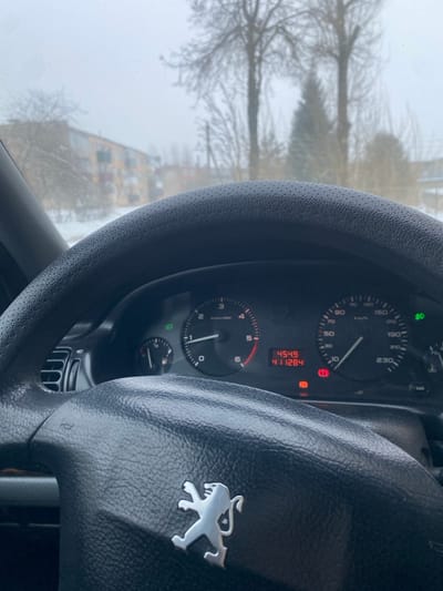 A stationary vehicle's interior is depicted from the driver's perspective on an overcast winter day in Карабоўскі сельскі Савет, Belarus. The foreground is dominated by a black, textured steering wheel featuring a silver Peugeot lion emblem. Behind the steering wheel, the instrument cluster is visible, showing a tachometer and speedometer both indicating zero. The digital display reads "4549" and "411284" in red digits. Active warning lights include a red circular brake system indicator, another red warning light (possibly oil or battery), and a green light indicating parking lights or low beams are on. The fuel gauge needle points to approximately one-quarter full. Through the windshield, a snow-covered outdoor environment is visible under a gray sky. Bare deciduous trees and at least one coniferous tree are present, with multi-story residential buildings, appearing somewhat faded with yellow and reddish hues, visible in the distant background. The overall scene suggests a cold, subdued atmosphere. No people are visible.