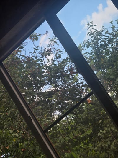 The image shows a view through a angled window pane, looking upwards towards a tree with red berries and green leaves against a blue sky with scattered white clouds. The window frame is dark gray and appears to be made of metal. Part of a dark wooden structure is visible in the upper left corner of the image. The scene appears to be outdoors, possibly in a garden or yard. There are no people or animals visible in the image. The image is taken from a low angle, looking up.