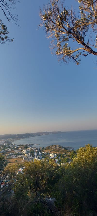This is a vertical, eye-level, full shot of a scenic view overlooking the coastal town of Faliraki, Greece. The sky is clear and bright blue, with the sun low on the horizon, casting a warm glow. In the foreground, the branches of an olive tree with sparse leaves frame the top of the image, and denser olive trees and foliage occupy the bottom portion.
Below the foliage, a vista of Faliraki unfolds. The town is characterized by numerous white buildings with red or grey roofs, clustered along the coastline and extending inland. The buildings are varied in size and design, suggesting a mix of residential and commercial properties. Some larger, modern-looking buildings, possibly hotels, are visible closer to the coast.
The town is situated along a bay, where the calm, blue waters of the Aegean Sea meet the land. Several boats, including a sailboat, are visible on the water. The coastline is irregular, with some rocky outcrops and a more developed harbor area. The landscape surrounding the town is hilly and appears to be semi-arid, with patches of dry grass and scrub. The overall impression is one of a peaceful, sun-drenched Mediterranean coastal scene.