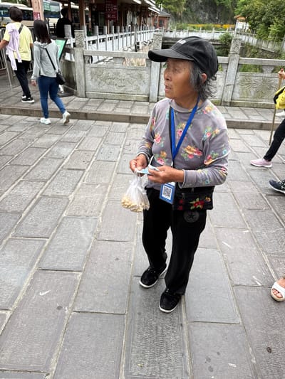 An elderly woman is standing on a stone-paved walkway in Zhonghu, China. She wears a black baseball cap, a floral-patterned gray long-sleeved shirt, and black pants. A blue lanyard with an ID badge hangs around her neck. She holds a small plastic bag filled with light-colored objects, possibly nuts or seeds. The walkway appears to be part of a public area with stone railings and other people walking nearby.