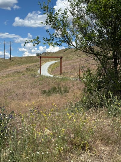 An image captures a wooden archway framing a gravel path curving up a grassy hill under a partly cloudy blue sky. Utility poles and power lines are visible in the distance to the left, with a treeline on the horizon. The foreground is filled with dry grasses and wildflowers, including yellow and white blooms, and some green foliage. A large tree with green leaves dominates the right side of the frame, partially obscuring the background. The scene appears to be in a rural or park-like setting.