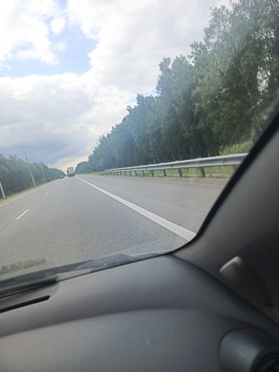 The image captures a view from the inside of a car driving on a highway. The highway stretches into the distance, bordered by a dense forest of green trees on the right and a line of lampposts and trees on the left. The sky is cloudy, with patches of blue sky visible, suggesting it's daytime with partly cloudy weather.
In the distance, a white truck is visible driving on the highway, along with a red car further ahead. A silver guardrail runs along the side of the road. The foreground shows the dashboard of the car, out of focus.
The overall impression is of a scenic drive through a wooded area on a cloudy day. The location is contextually identified as Malaya Elanka, Russia. There is no visible text in the image.