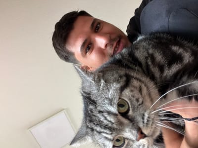 A medium shot shows a man and a cat. The man is light-skinned, has short dark hair, and is wearing a black shirt. The cat is a gray tabby with green eyes. The cat is closer to the camera than the man. A white square ceiling light is visible in the background. The location is a residential or office space, but the specific location in Gütersloh, Germany, cannot be determined from the image. The man is holding the cat. They are interacting with each other in an unknown way. The environment is indoors.