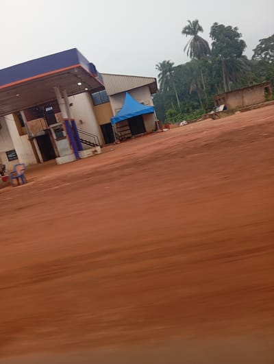 A motion blurred, eye-level, medium shot captures a street-side view of a gas station in Imilike, Nigeria. The gas station's blue awning, accented with orange trim, extends over a row of visible pumps. To the left, a beige, two-story building houses the gas station's office. A blue and orange plastic chair sits unoccupied in front of a window on the ground floor. Adjacent to the office, a smaller structure is covered with a bright blue tent. Behind the gas station, palm trees and dense vegetation dominate the landscape under an overcast sky. The foreground is a blur of reddish-brown dirt, suggesting the image was taken from a moving vehicle.