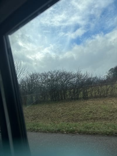 The image depicts a rural landscape near Niedernai, France, viewed through a vehicle window. The upper left and top edges of a dark vehicle window frame are visible, partially obscuring the scene. The sky occupies the upper half, featuring a mix of white and gray stratocumulus clouds with clear blue patches evident, particularly in the upper right quadrant. The lighting suggests an overcast day with some diffused sunlight.

A prominent line of dense, deciduous trees or shrubs, devoid of leaves, forms a dark, skeletal barrier across the middle ground. Their gnarled branches are intricate and bare. To the left of this hedge-like formation, a taller, isolated barren tree stands. Below the treeline, the ground consists of a field or an uncultivated area, showing predominantly sparse, brown vegetation mixed with patches of green grass, indicative of a dormant season.

In the immediate foreground, a dark asphalt road spans the width of the frame, separated from the field by a narrow strip of brighter green grass. No individuals, animals, or specific actions are discernible within the frame. The overall environment suggests a cold weather landscape.