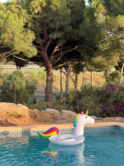 A white inflatable unicorn float with a rainbow mane and tail is floating in a swimming pool. The pool has a light blue tiled edge. Behind the pool are rocks and vegetation, including pine trees and bushes with purple flowers. In the background, a highway is visible with vehicles. The scene appears to be a residential area in Sant Vicenç de Montalt, Spain, given the characteristic Mediterranean flora and the proximity to a highway. The lighting suggests it is late afternoon or early evening, with the sun casting warm light on the scene. There are no people visible in the image.