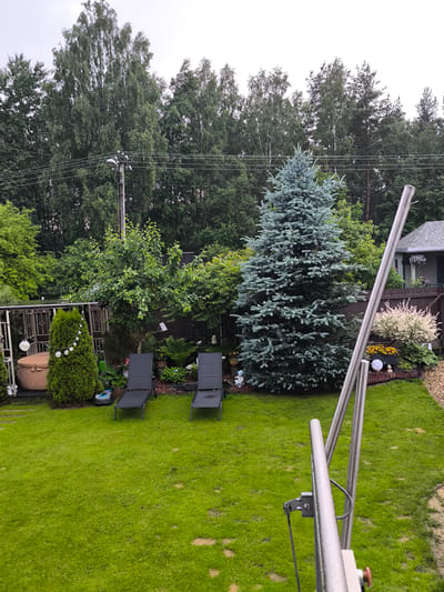 In Medemciems, Latvia, this image depicts a residential backyard. The scene is dominated by a lush green lawn and a variety of trees and shrubs. Prominently featured are two black lounge chairs placed on the grass, suggesting a space for relaxation. To the left, a large, round, light-brown object, possibly a hot tub or water feature, is partially visible behind a tall, conical green hedge decorated with string lights. A robotic lawnmower is positioned on the grass near the hedge. Further to the left, a power pole with overhead wires stands amongst the trees. In the center and right of the image, a large blue spruce tree is a focal point, surrounded by a flowerbed with yellow flowers and decorative figures. Behind the trees, a portion of a house with a grey roof is visible. The sky is overcast, indicating a cloudy day. The foreground shows a metal pole, part of some sort of equipment, extending upwards at an angle.
