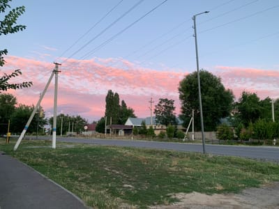 The image depicts a rural scene in Zertas Aul District, Kazakhstan. The foreground is dominated by a clear blue sky transitioning to a soft pink hue, indicative of either sunrise or sunset. Streaks of pinkish-white clouds are scattered across the sky, adding a painterly quality to the scene. Several power lines crisscross the sky, supported by tall, weathered concrete poles.
In the midground, a line of trees, primarily deciduous with lush green foliage, runs along the edge of a road. Behind the trees, houses with various roof colors are visible, suggesting a residential area within the rural setting. A wooden fence separates the road from the properties.
The background features a grassy embankment and a gravel path, typical of a rural road. The overall impression is one of tranquility and the quiet beauty of a developing landscape, likely a village or a small settlement. The time of day is either early morning or late evening due to the colors in the sky. No people are visible in the image. There is no discernible text in the image.