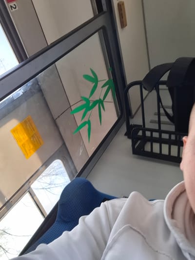 The image shows an interior view, presumably of a public transportation vehicle such as a bus or tram. A person is visible in the foreground, wearing a light-colored hooded sweatshirt and with a blurred view of part of their face. A blue seat is adjacent to the person. The scene is viewed through a window, which has a yellow sticker in the upper area and a green stylized leaf design toward the bottom. The window frame is dark. A black luggage rack is visible below the window. A rectangular sign with the number "2" is visible. The overall lighting suggests daytime. The location is Svetlen, Bulgaria.